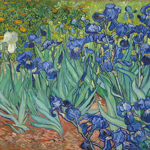 Irisis by Van Gogh